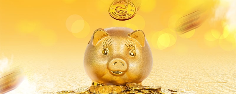 成都购车公积金贷款政策详解与申请流程